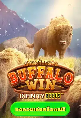 Buffalo Win