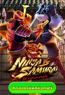 Ninja vs Samurai